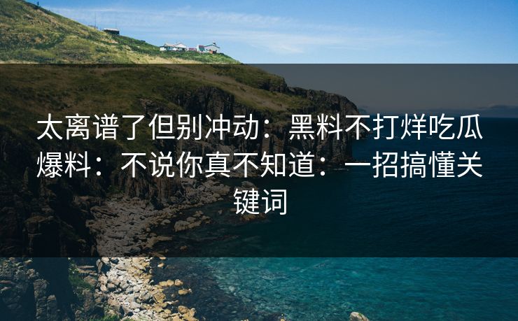 太离谱了但别冲动：黑料不打烊吃瓜爆料：不说你真不知道：一招搞懂关键词