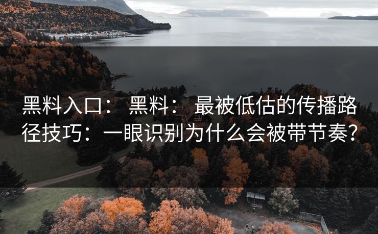 黑料入口： 黑料： 最被低估的传播路径技巧：一眼识别为什么会被带节奏？