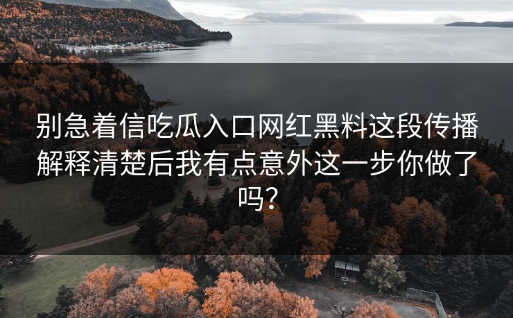 别急着信吃瓜入口网红黑料这段传播解释清楚后我有点意外这一步你做了吗？