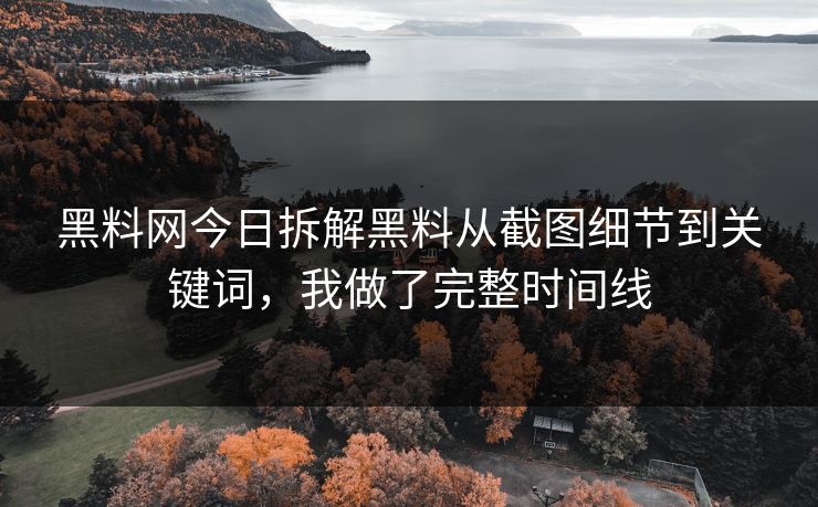 黑料网今日拆解黑料从截图细节到关键词，我做了完整时间线